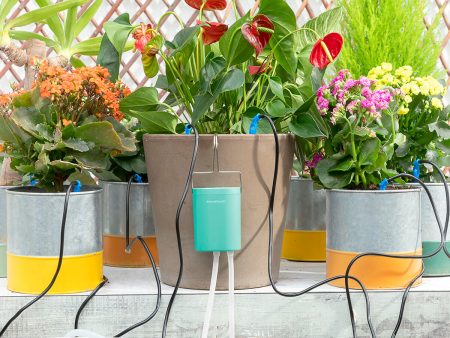 Automatic Drip Watering System for Plant Pots Regott InnovaGoods Online Hot Sale