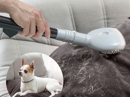 Vacuum Cleaner Brush Smoovah InnovaGoods on Sale