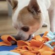 Sniffing Mat for Pets Fooland InnovaGoods Discount