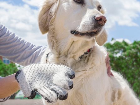 Pet Brush & Massage Glove Relpet InnovaGoods For Cheap