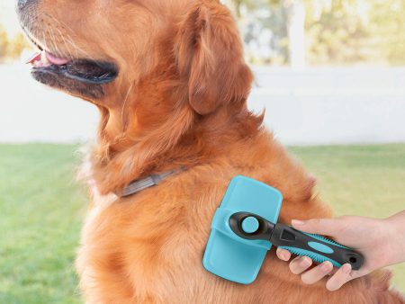 Cleaning Brush for Pets with Retractable Bristles Groombot InnovaGoods Online Hot Sale