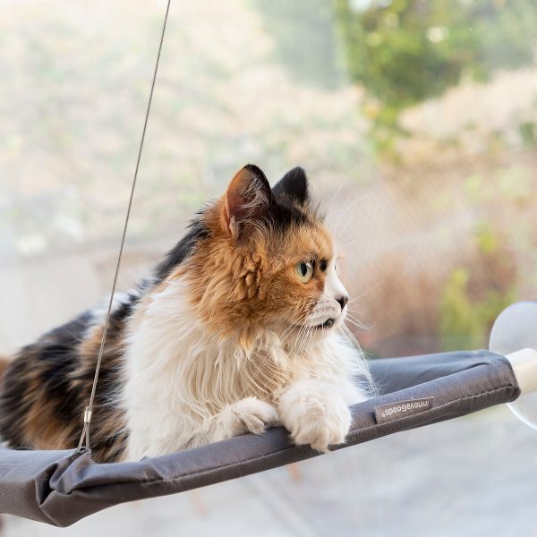 Hanging Cat Hammock Catlax InnovaGoods on Sale