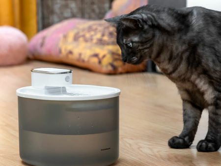 Rechargeable Cat Water Fountain with Sensor Refopet InnovaGoods Supply