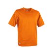 Men’s Short Sleeve T-Shirt Cofra Zanzibar Orange Discount