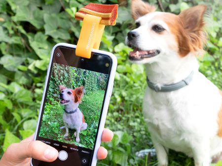 Selfie Clip for Pets Pefie InnovaGoods Supply