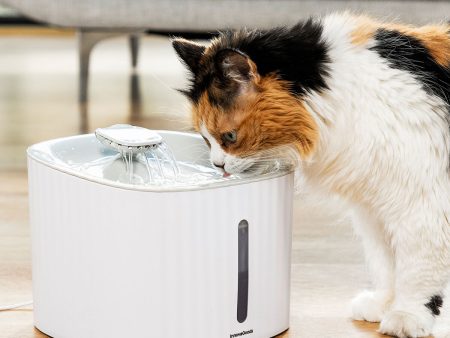 Pet Water Fountain Drinkatt InnovaGoods For Sale