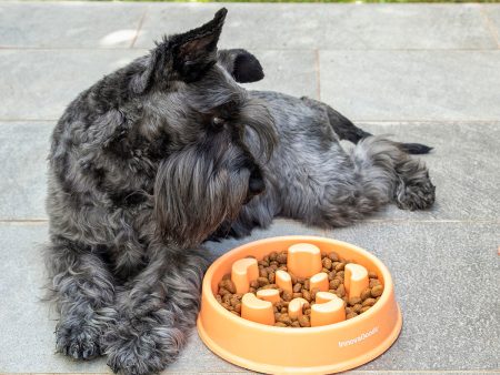 Slow Eating Food Bowl for Pets Slowfi InnovaGoods Online Sale