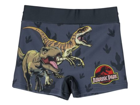 Boys Swim Shorts Jurassic Park Dark grey Online now