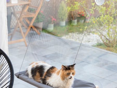 Hanging Cat Hammock Catlax InnovaGoods on Sale