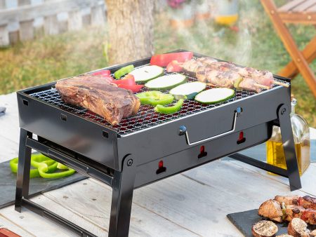 Folding Portable Barbecue for use with Charcoal BearBQ InnovaGoods on Sale