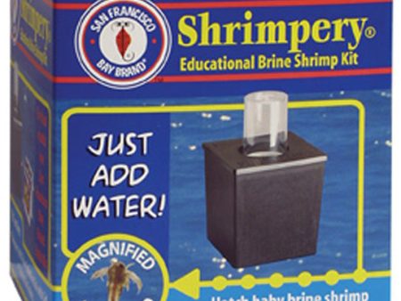 SAN FRANCISCO BAY - Shrimpery Brine Shrimp Kit - 3 Pack Online Sale