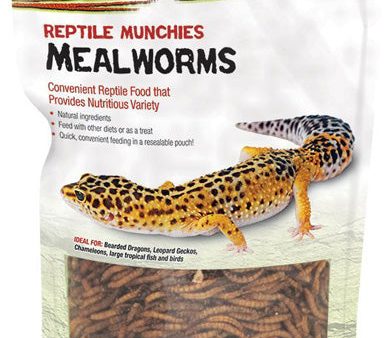 ZILLA - Reptile Munchies Mealworms Lizard Food - 3.75 oz. (106 g) Hot on Sale